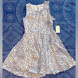 41 Hawthorn Polka Dot Swing Dress